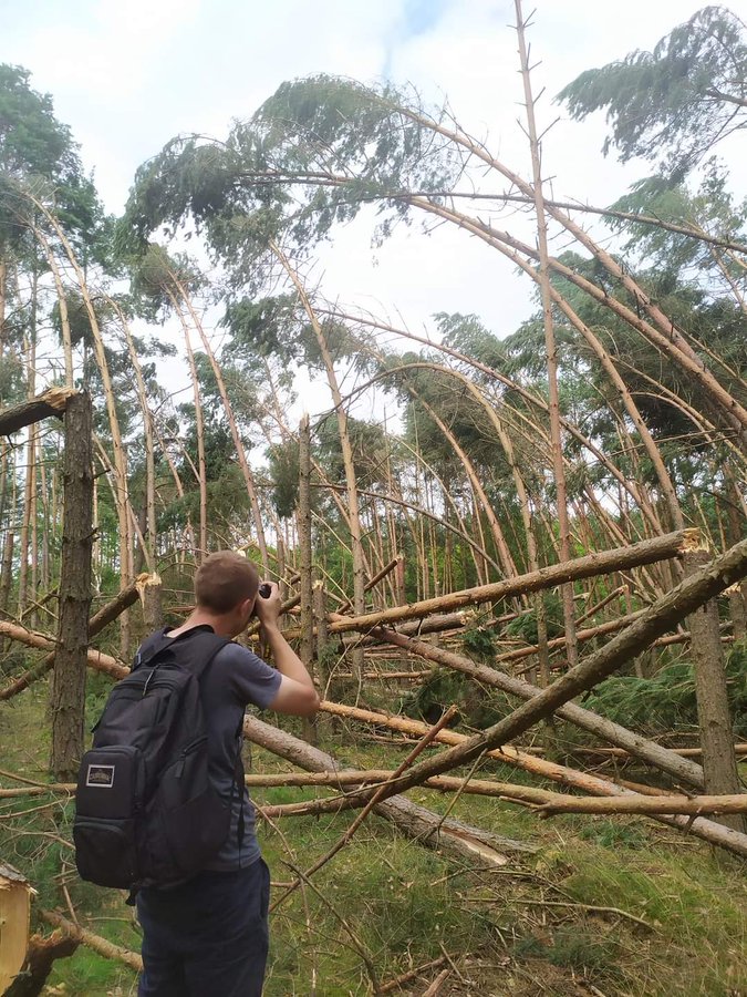 Լեհաստանում փոթորիկը տապալել է անտառի կեսը (տեսանյութ)